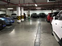 -上海体育场-停车场