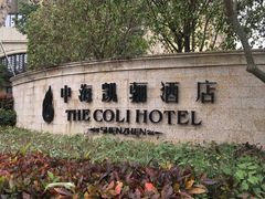 -深圳中海凯骊酒店