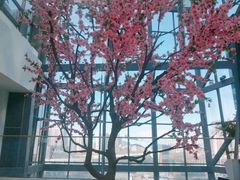 -太原茂业天地购物中心