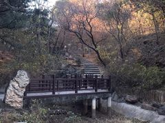 -北京西山国家森林公园