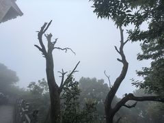 -崆峒山景区
