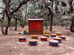 -北海金海湾红树林生态旅游区