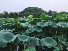 -石湖景区