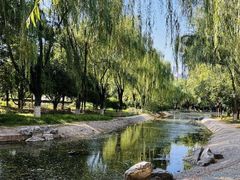 -丰台科技园生态主题公园