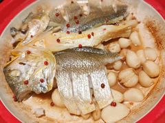 -1937青岛老味道·海肠捞饭·青岛菜(大鲍岛栈桥店)