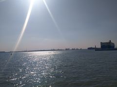 -东疆建设开发纪念公园