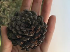 -白塘生态植物园