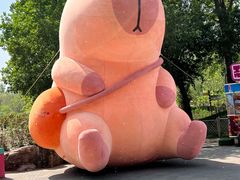 -北京野生动物园