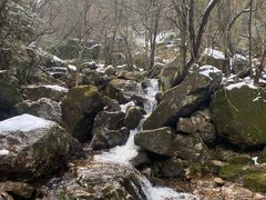-东白山