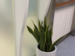 -圣贝口腔(海淀店)