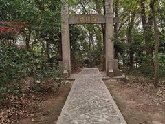 -上海佘山国家森林公园天马山园