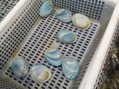 -盒马鲜生(财富中心店)