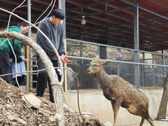 -栾川竹海野生动物园