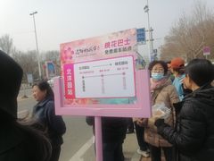 -桃花堤公园