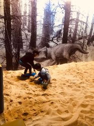 -恐龙探索乐园(磁器口店)