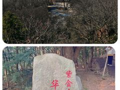 -紫金山山顶公园