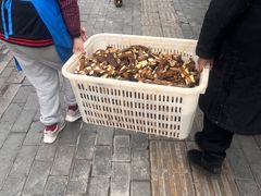 -堤角王师傅牛骨头