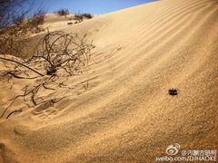 -亿利库布其七星湖沙漠生态旅游区