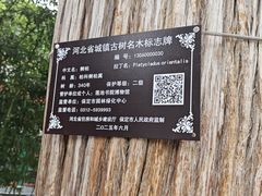 -莲池书院博物馆