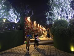 -胡桃里音乐酒馆(环亚凯瑟琳广场店)