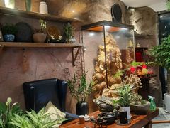 -富侨养生(光大会展店)