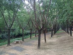 -艾山风景名胜区