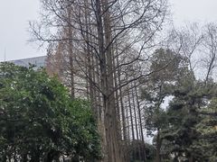 -兰溪青年公园