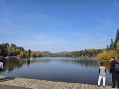 -五营红松林海景区