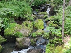 -五营国家森林公园