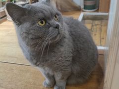 -Rabbit Cafe私房西餐甜点咖啡(栖霞路店)