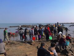 -巧克力渔家.小船海鲜胶东菜(万平口店)