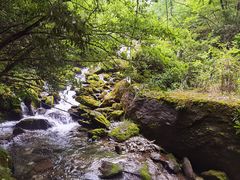 -神农架香溪源景区