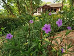 -上海市保健医疗中心