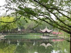 -陶然亭公园