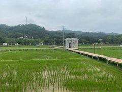 -红山村