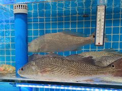 -前王院•巧克力海鲜市集餐厅(万平口店)