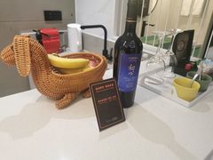 -太阳岛度假酒店