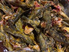 -金海椒罐罐鲢鱼(东方桂苑店)