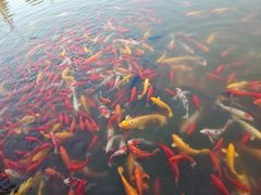 -狼山风景名胜区