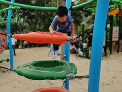 -合肥滨湖国家森林公园