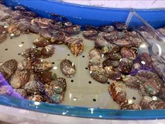 -澜悦港海鲜体验主题餐厅