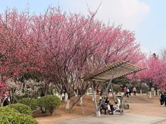 -月湖风景区