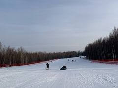 -长白山红松王滑雪场