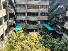 -黑龙江中医药大学附属第一医院