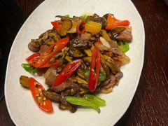 -滇野云南野生菌餐厅(陕西南路店)