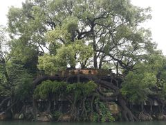 -桂林两江四湖景区