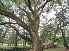 -京都御所