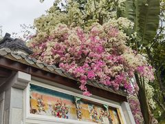 -深圳国际园林花卉博览园