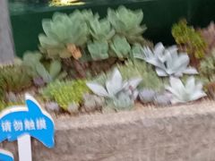 -天怡·鱼工厂(临江店)
