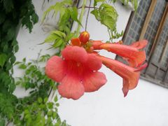 -阿木舂记·特色小吃(平江路店)